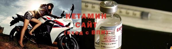 прущие грибы Каменногорск