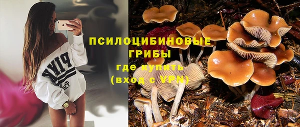 a pvp Верхний Тагил