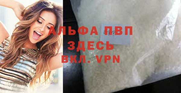 прущие грибы Каменногорск