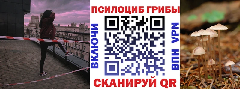 omg маркетплейс  закладки  Вязьма  Галлюциногенные грибы Psilocybine cubensis 